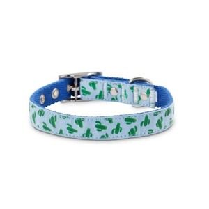 M Medium new Bond & Co Cosmo Cactus succulent Dog puppy Collar